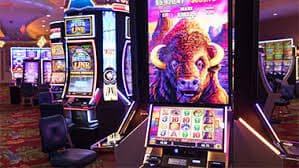 evobet bd