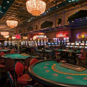 evobet bd