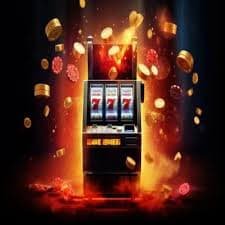 evobet bd