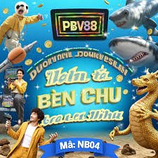 evobet bd